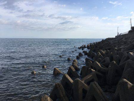 エソ時々ハマチ